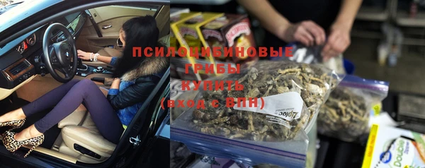 крисы Володарск