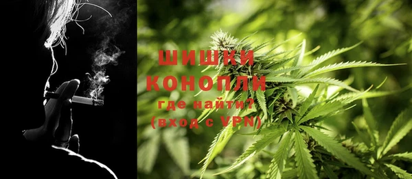 крисы Володарск